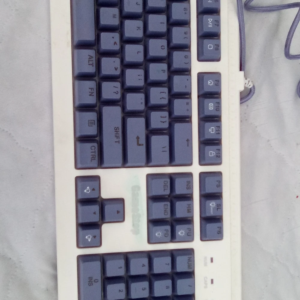 Classic White and Blue Wired Keyboard